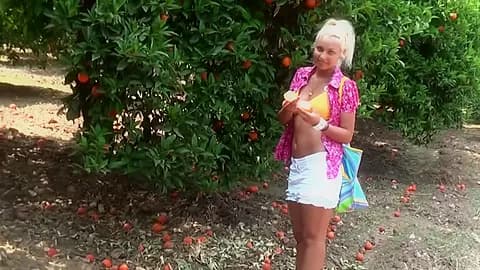 They fuck near the orange tree