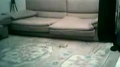 Bangladeshi prostitute uttara dhaka 02
