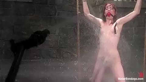 Arachnia Webb - Kink