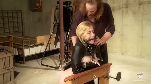 Bound Bitch Loves Everything He Does To Her